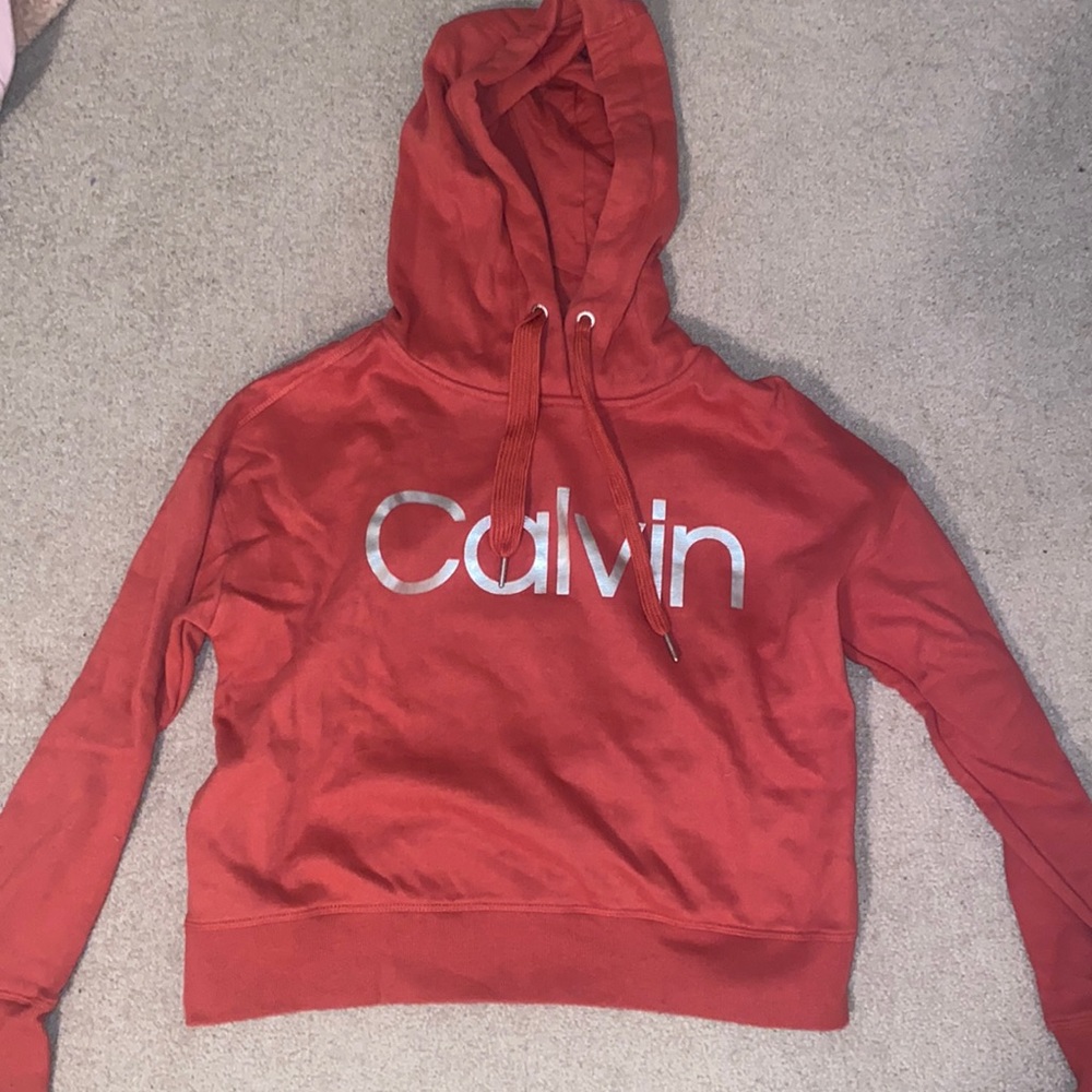 Light red cropped Calvin Klein sweatshirt.
